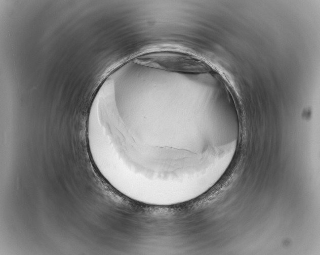 X0000098210945200805221624