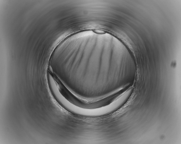 X0000098210946200805221624
