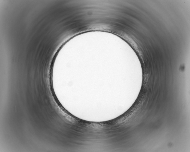 X0000098210947200805221624