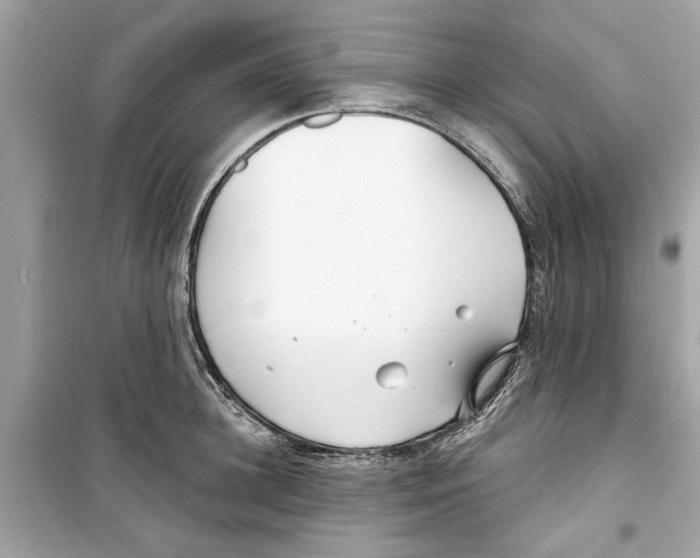 X0000098210948200805221624