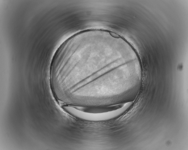 X0000098210951200805221624