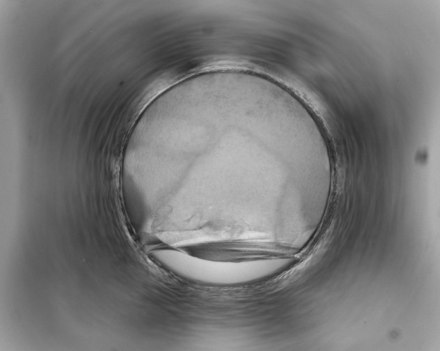 X0000098210953200805221624