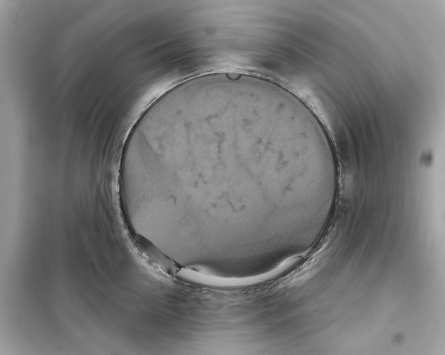 X0000098210954200805221624