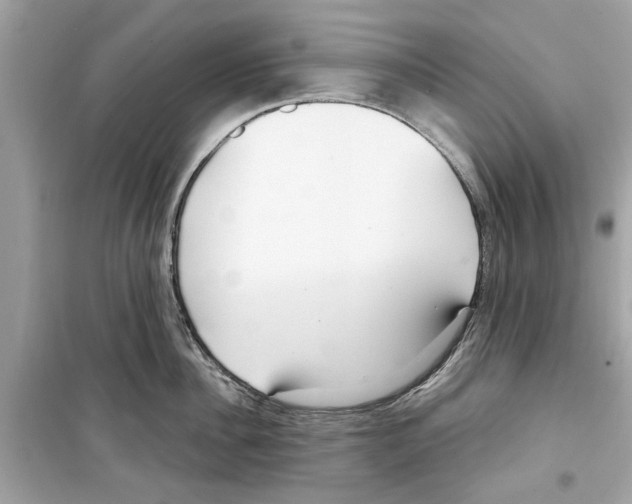 X0000098210956200805221624