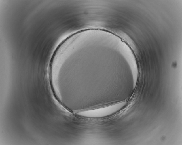 X0000098210958200805221624