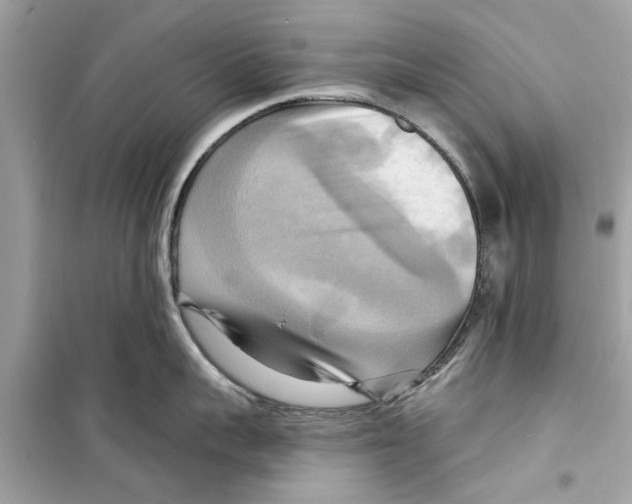 X0000098210959200805221624