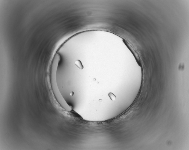 X0000098210960200805221624