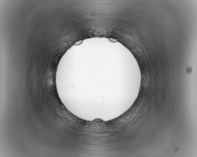 X0000098210962200805221623