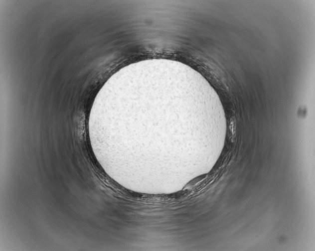 X0000098210963200805221623