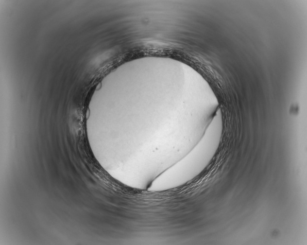 X0000098210964200805221623