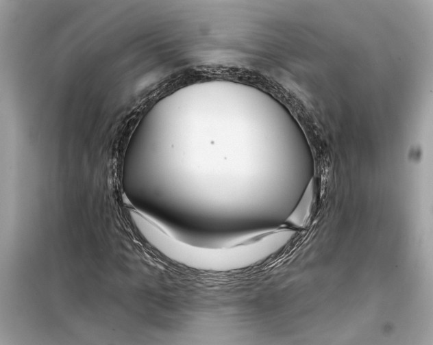X0000098210965200805221623