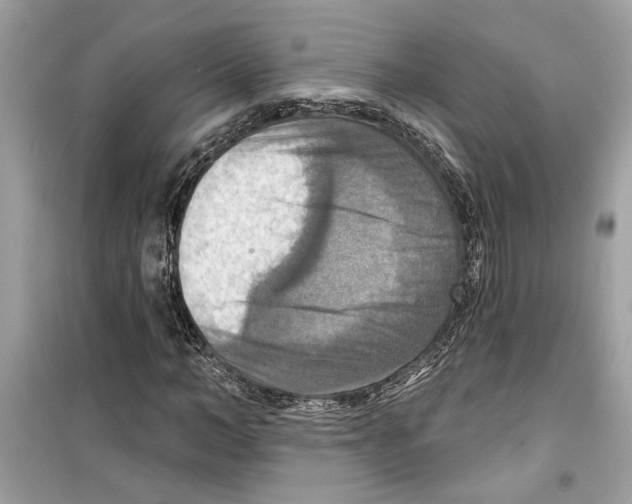 X0000098210966200805221623