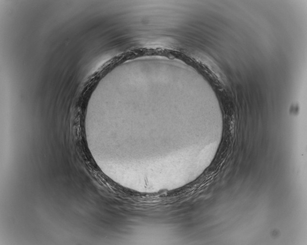 X0000098210968200805221623
