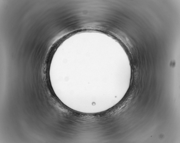 X0000098210971200805221623