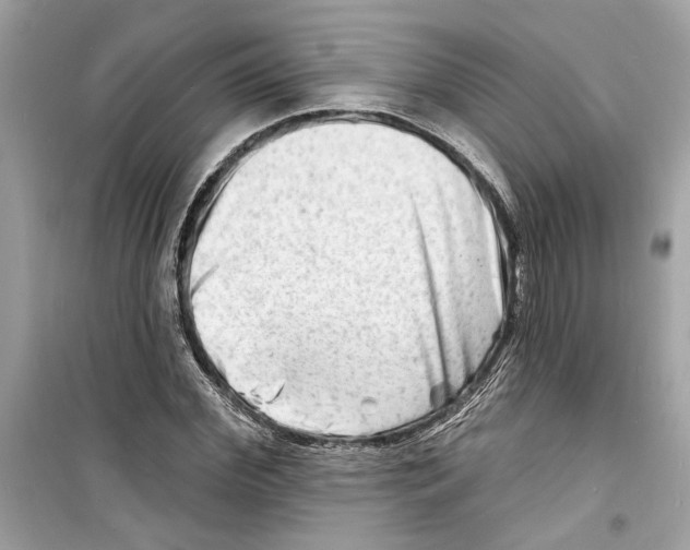 X0000098210972200805221623