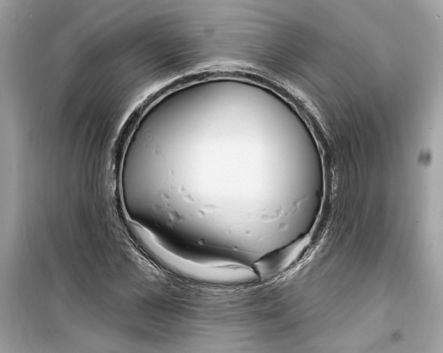 X0000098210973200805221623