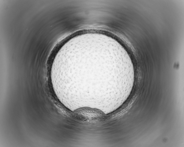 X0000098210974200805221623