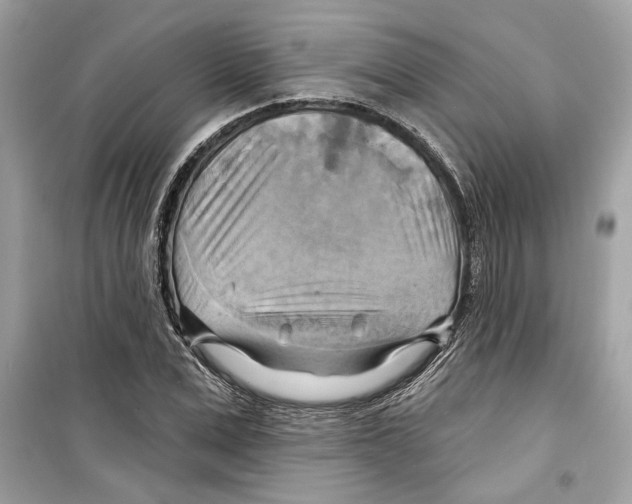 X0000098210975200805221623