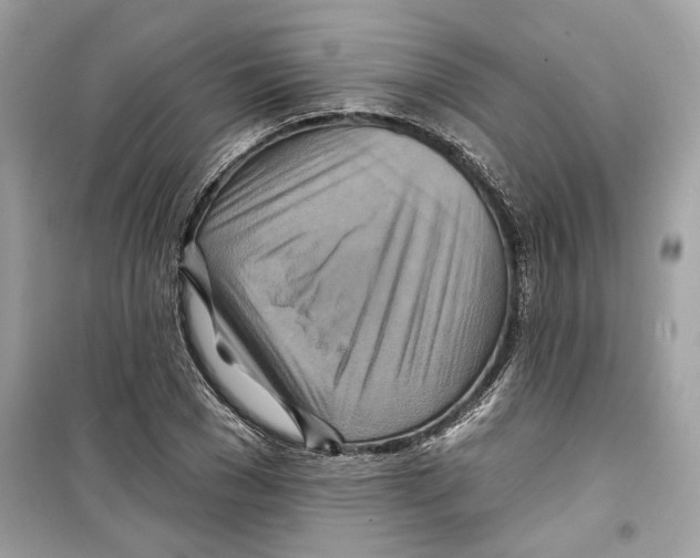 X0000098210977200805221623
