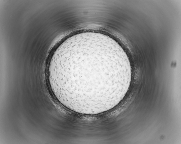 X0000098210978200805221623