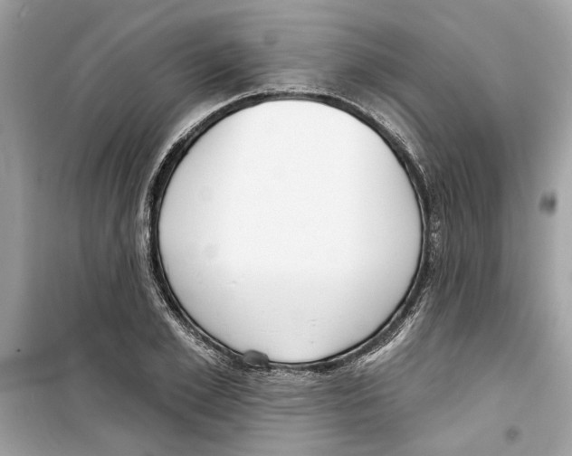 X0000098210981200805221623