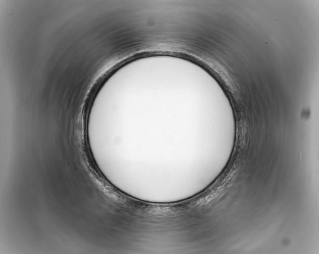 X0000098210982200805221623