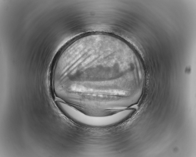 X0000098210983200805221623