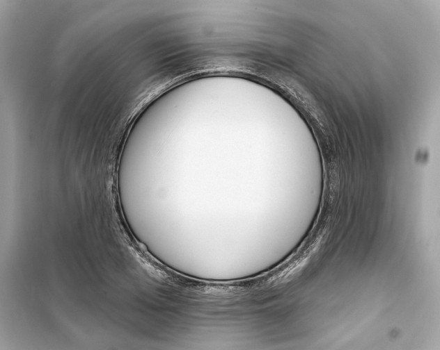 X0000098210985200805221623