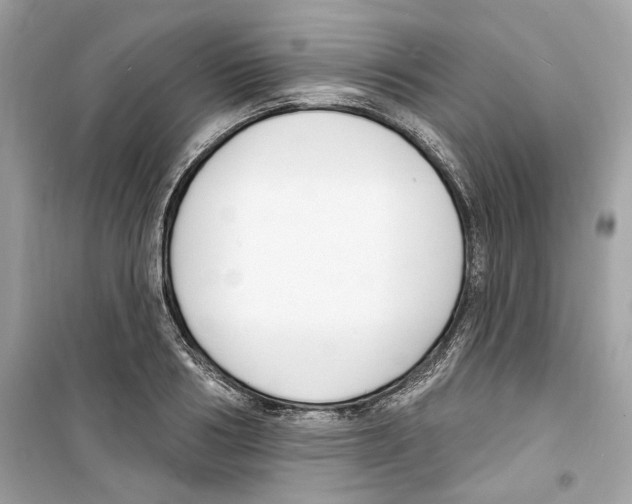 X0000098210986200805221623