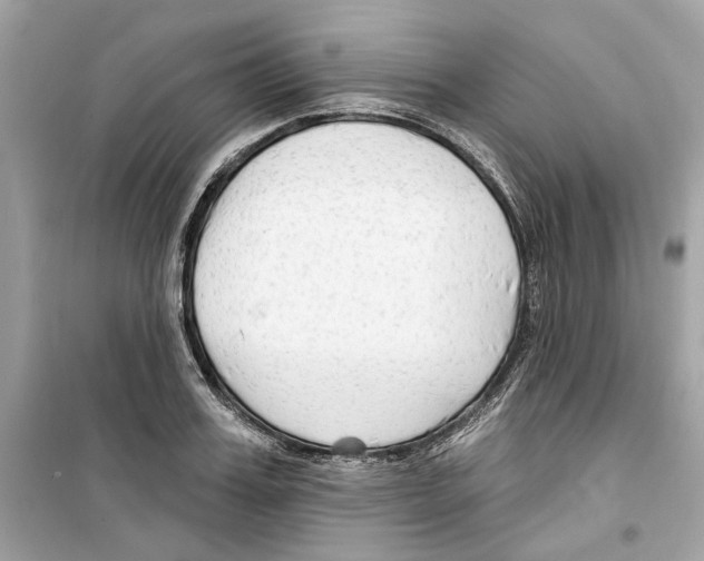 X0000098210987200805221623