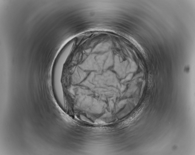 X0000098210988200805221623