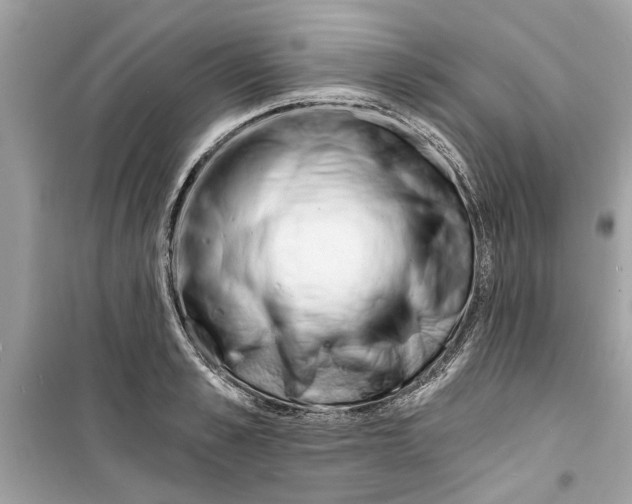 X0000098210989200805221623