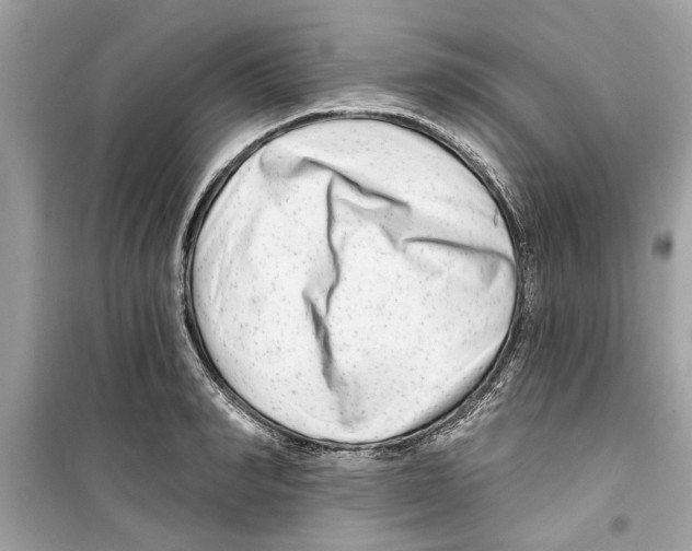 X0000098210990200805221623