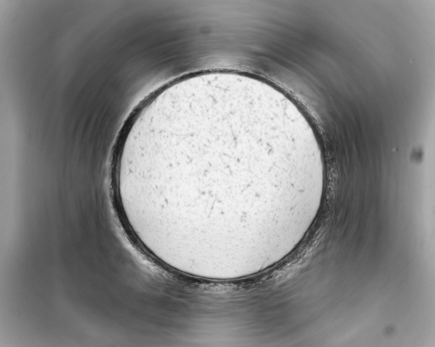 X0000098210991200805221623