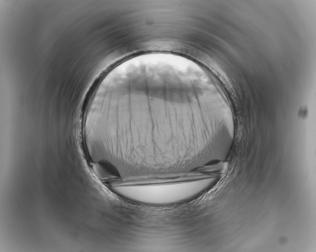 X0000098210992200805221623
