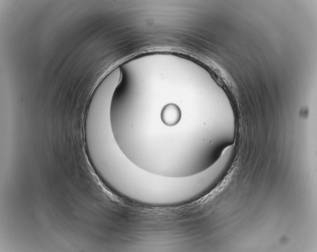 X0000098210993200805221623