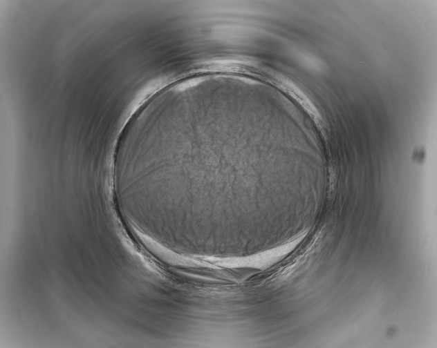 X0000098210994200805221623