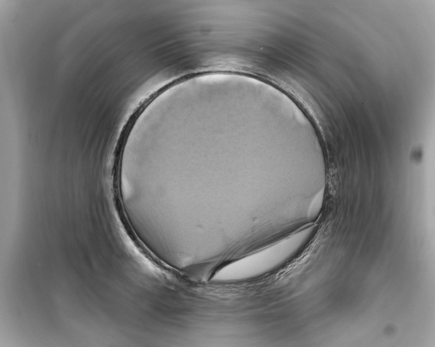 X0000098210995200805221623