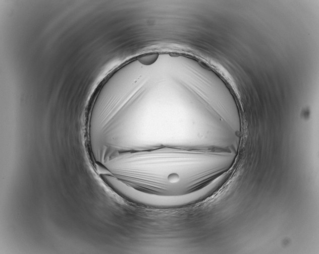 X0000098210997200805221623
