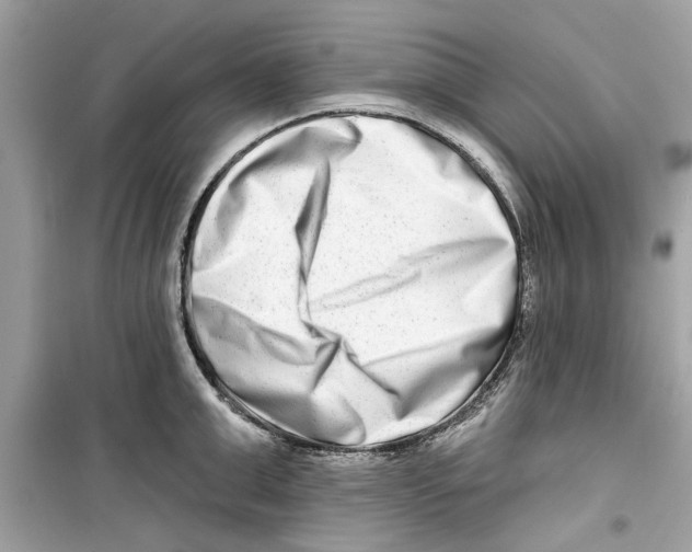 X0000098210999200805221623