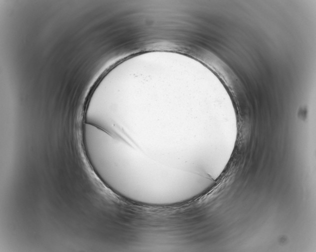 X0000098211000200805221623