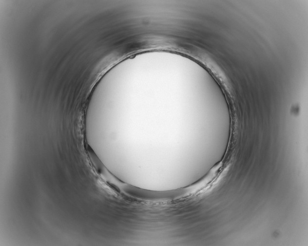 X0000098211001200805221623
