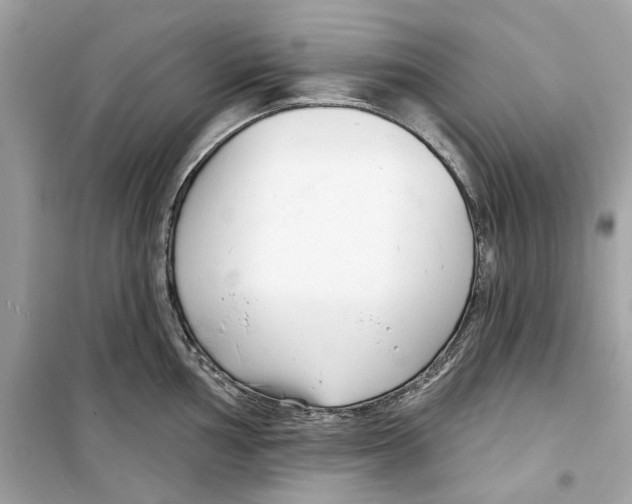 X0000098211002200805221623