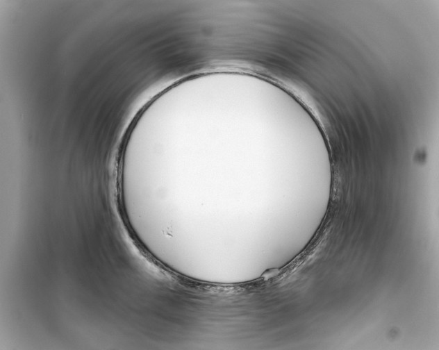 X0000098211003200805221623