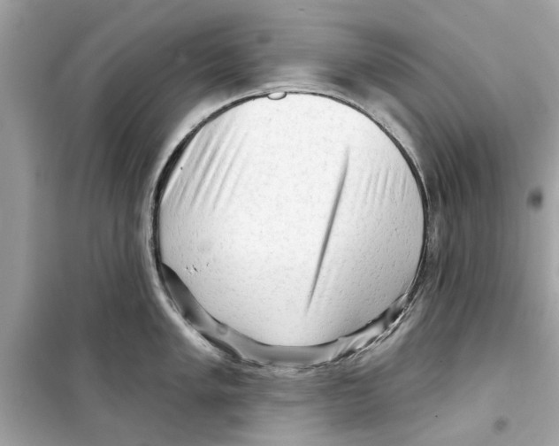 X0000098211005200805221623