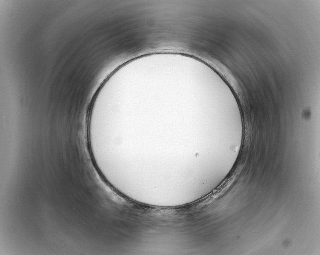 X0000098211006200805221623