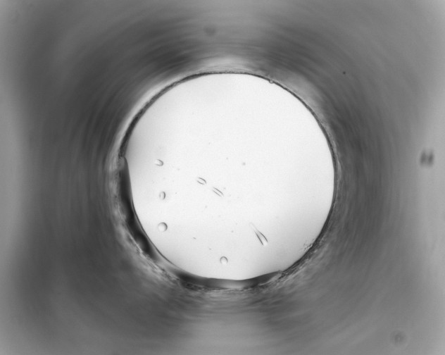 X0000098211008200805221623
