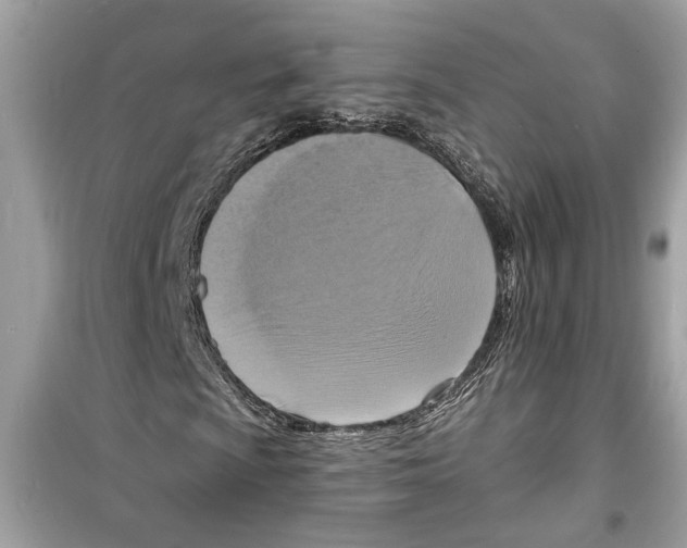 X0000098211009200805221622