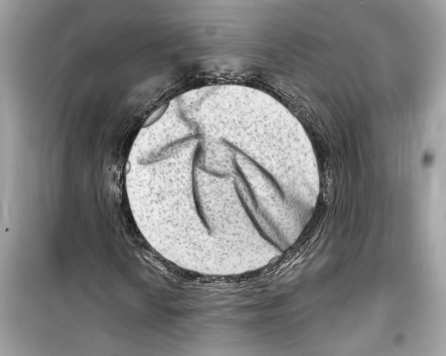 X0000098211010200805221622