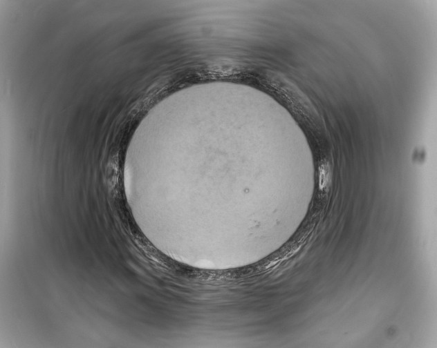 X0000098211011200805221622